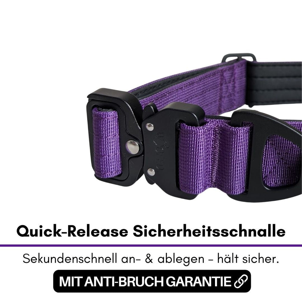 "Lila Nylon Halsband mit metallener Quick-Release Schnalle für schnelles An- und Ablegen."
