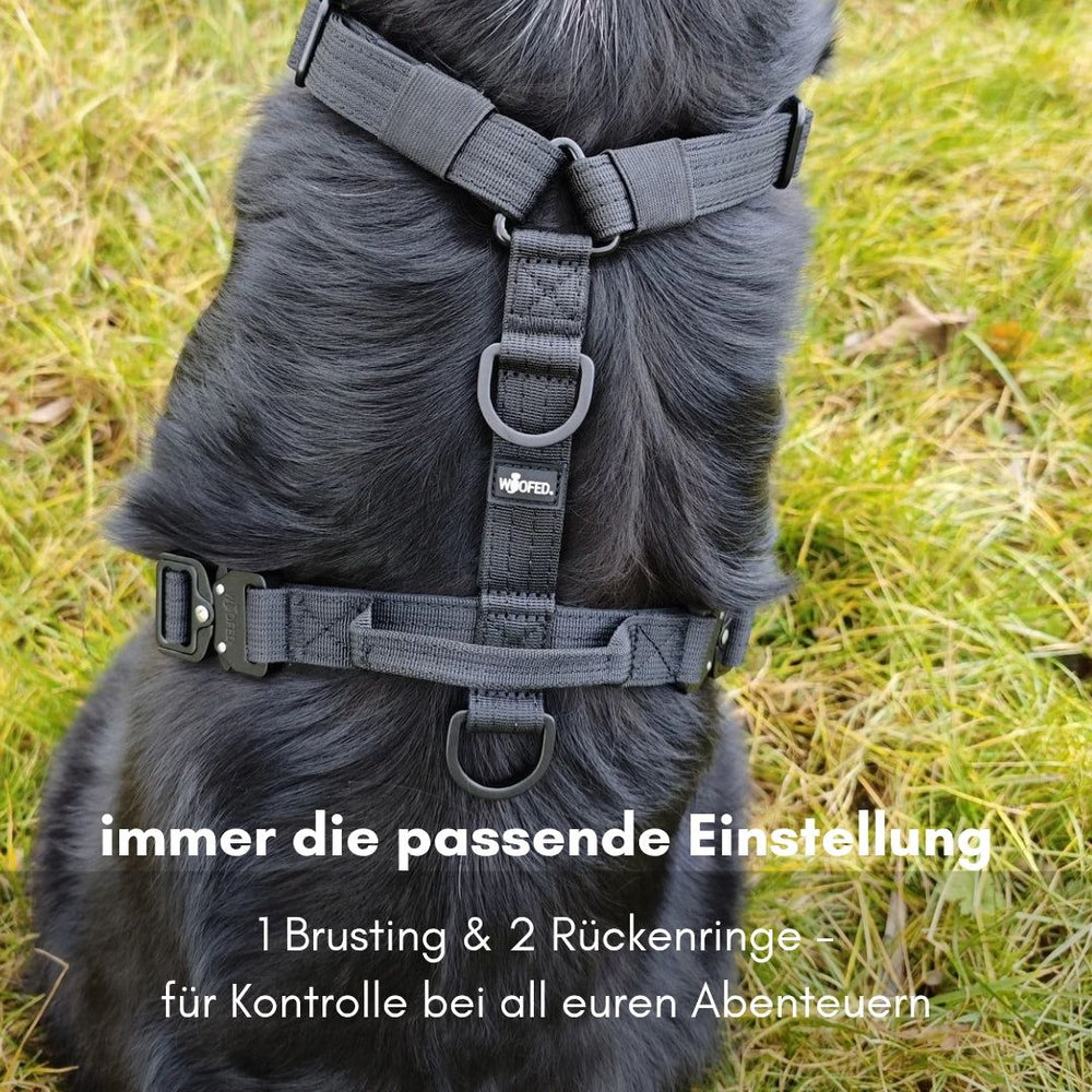 Schwarzes Y-Hundegeschirr mit Griff, verstellbaren Gurten und D-Ringen für optimale Kontrolle.