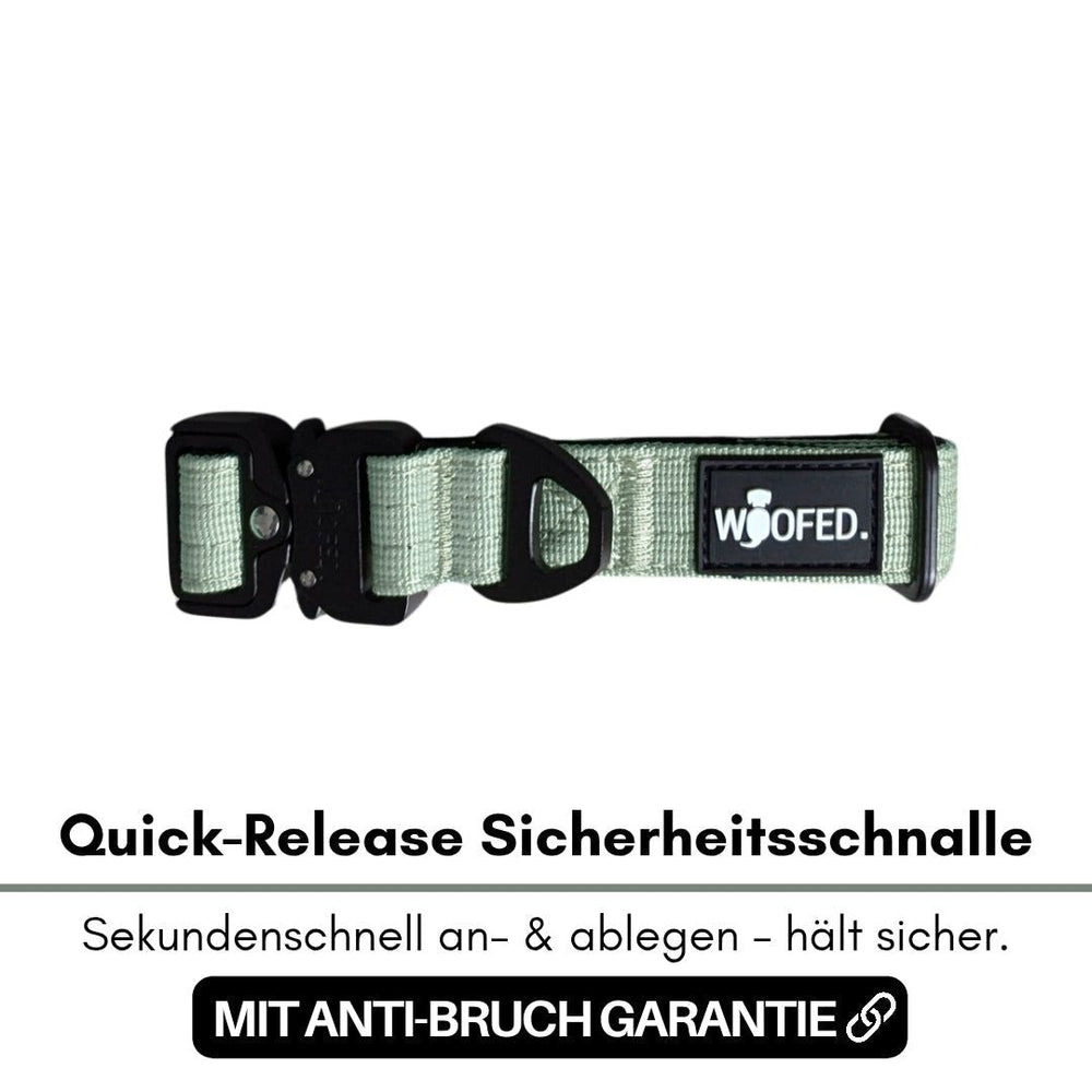 Nylonhalsband für kleine Hunde mit robuster Alu-Schnalle und WOOFED-Logo in Grau. Ideal für Sicherheit und Komfort.