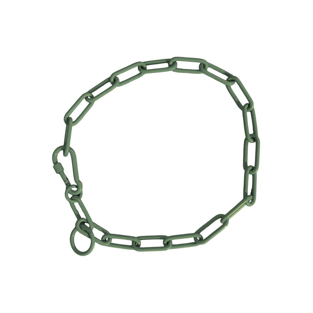 Grünes Edelstahl-Kettenhalsband von Woofchain mit ovalen Gliedern und einfachem Verschluss, für stilvolle Hunde-Zubehörgestaltung.
