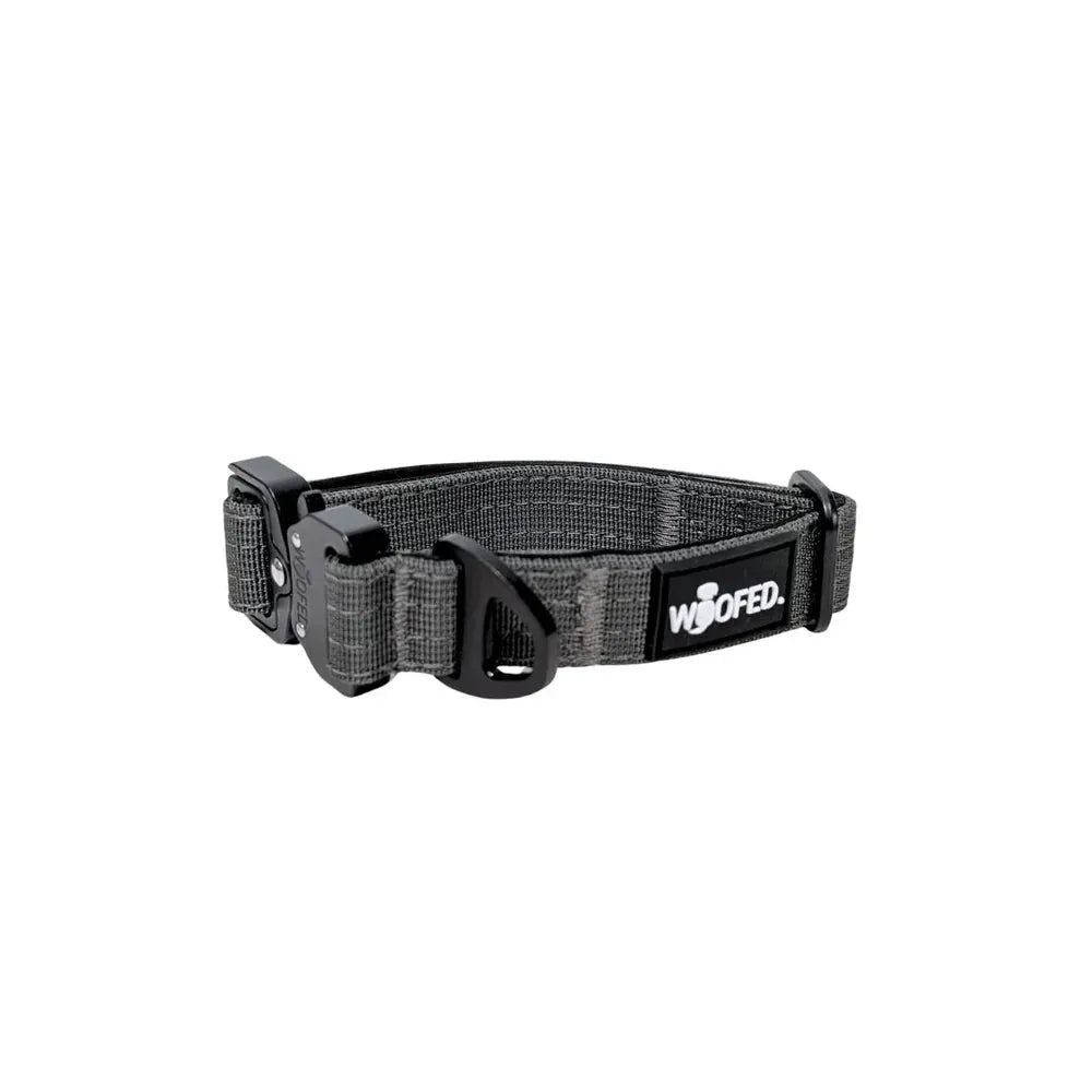 Taktisches Nylon Halsband für kleine Hunde in Grau mit schwarzem Verschluss, robust und funktional für täglichen Gebrauch.