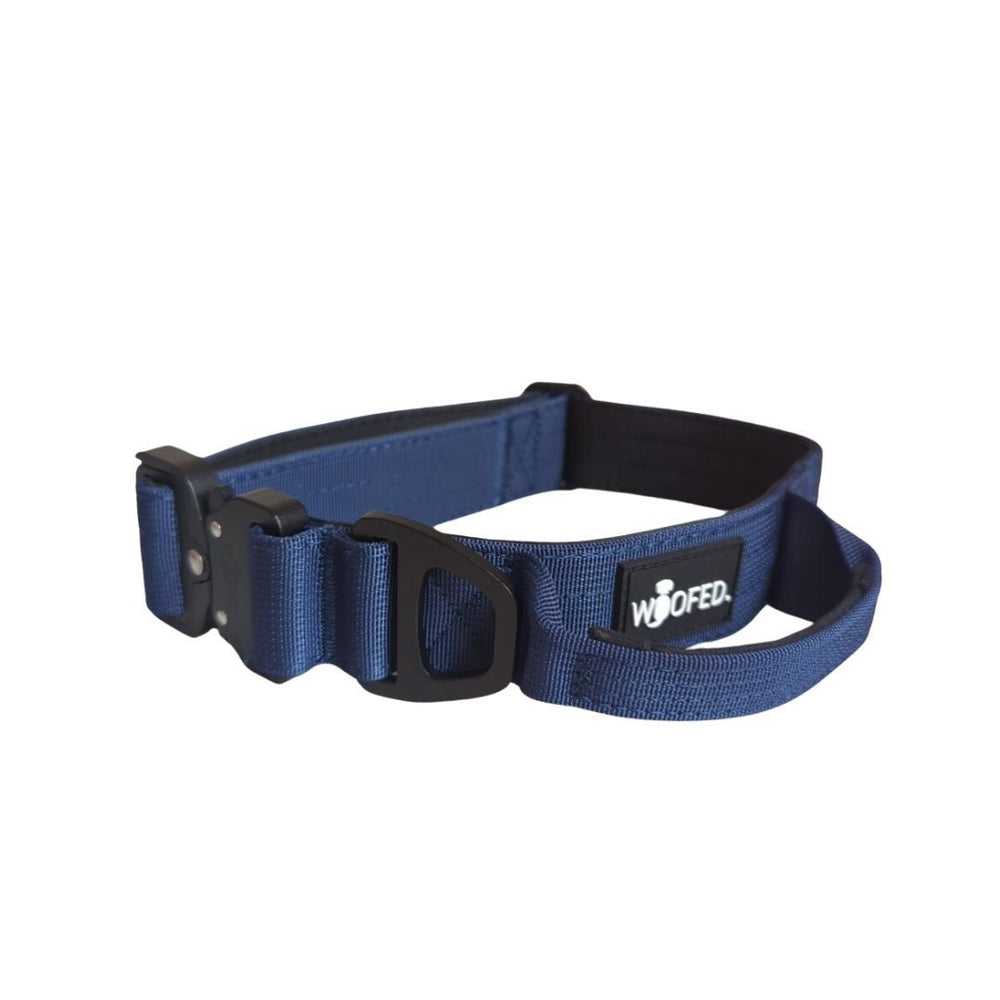 Dunkelblaues Nylon-Halsband für Hunde mit verstellbarer Schnalle und D-Ring, ideal für Training und Spaziergänge.