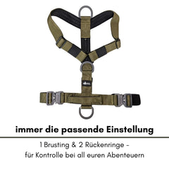 Y-Hundegeschirr 4-fach verstellbar in grün mit Haltegriff und D-Ringen für optimale Sicherheit und Kontrolle beim Spaziergang