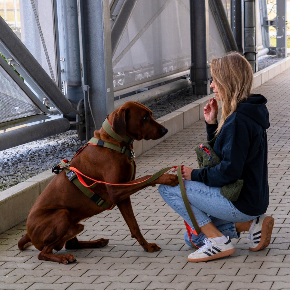 Frau sitzt mit Hund auf dem Boden, trägt eine multifunktionale Gassitasche im 2-in-1 Design. Moderne Architektur im Hintergrund.
