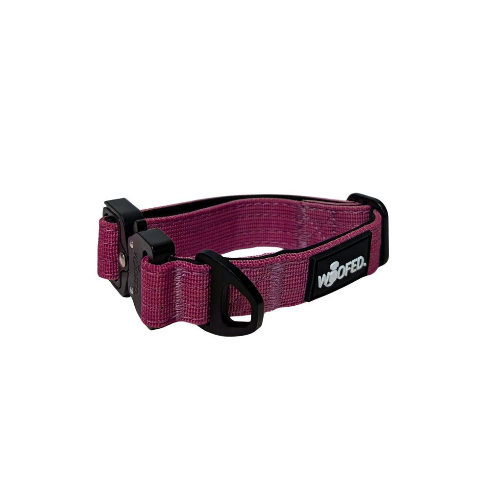Lila Nylon-Hundehalsband für kleine Hunde mit schwarzem Aluverschluss und D-Ring für die Leine.