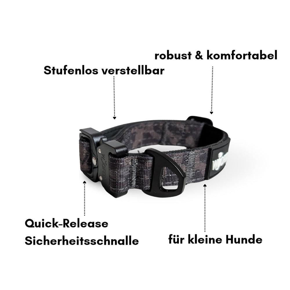 Halsband für kleine Hunde aus Nylon mit verstellbarem Aluverschluss und Sicherheitschnalle. Ideal für Komfort und Sicherheit.