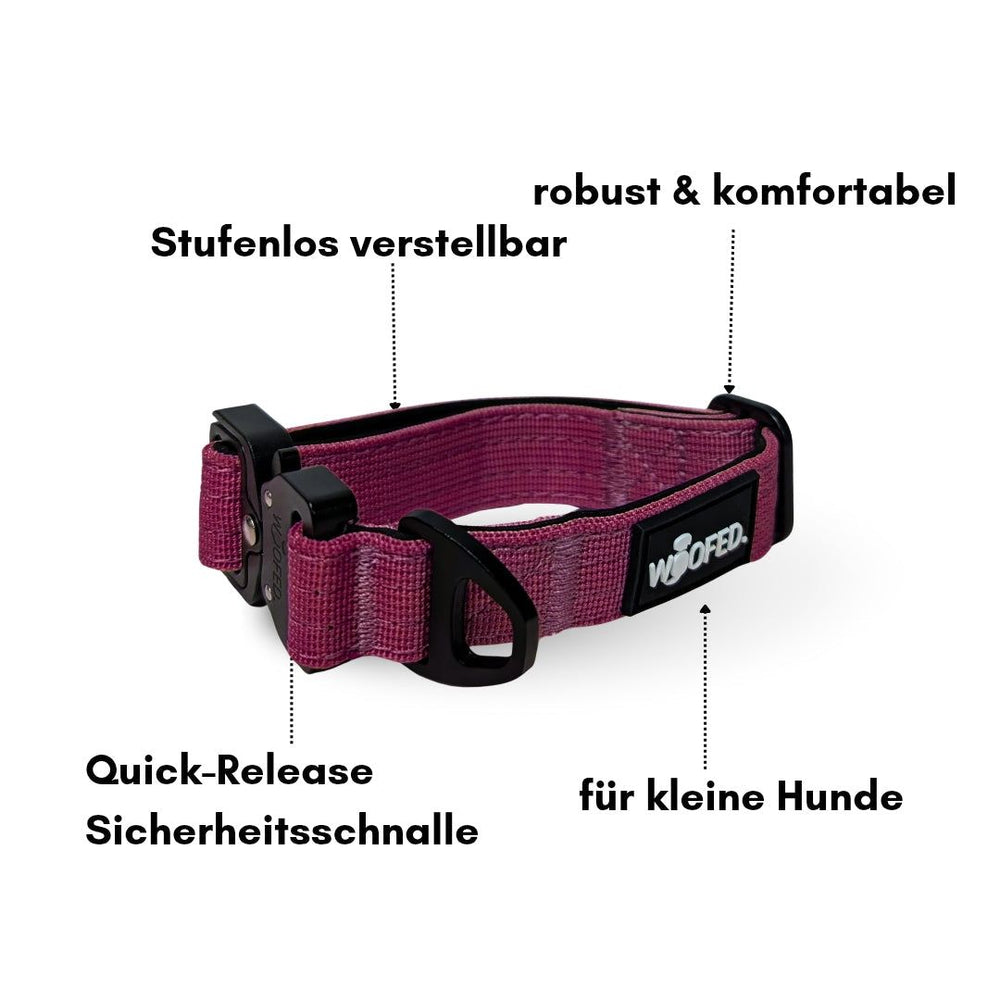 Lila Nylonhalsband für kleine Hunde mit verstellbarem Gurt und sicherer Alu-Quick-Release Schnalle.