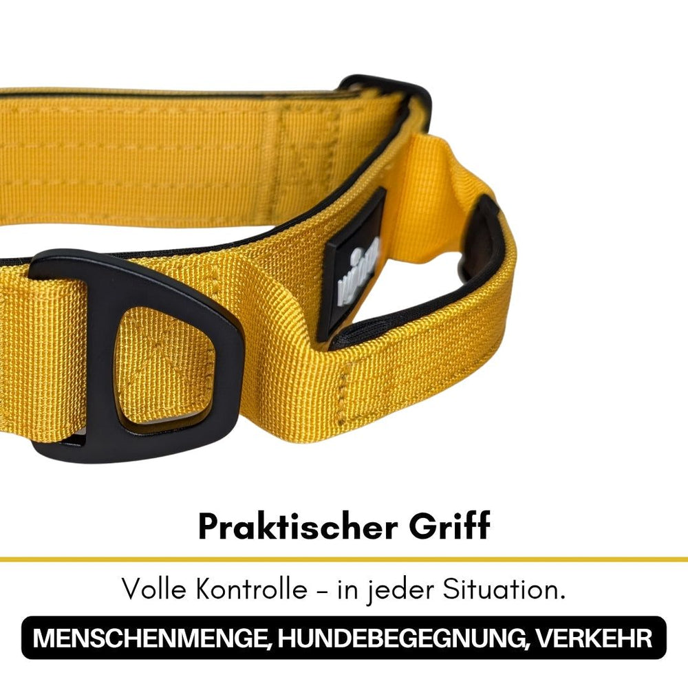 "Ultraleichtes Nylon-Halsband für Hunde in Gelb mit praktischen Griff und D-Ring für vielseitigen Einsatz."