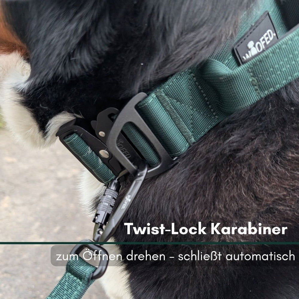 Sicherheitskarabiner aus Nylon, schwarz, mit Drehverschluss, an Hundegeschirr befestigt – ideal für Spaziergänge.