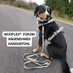 Hund mit WOOFLEX® Classic Führleine auf einem Weg, umgeben von Bäumen, genießt die Natur.