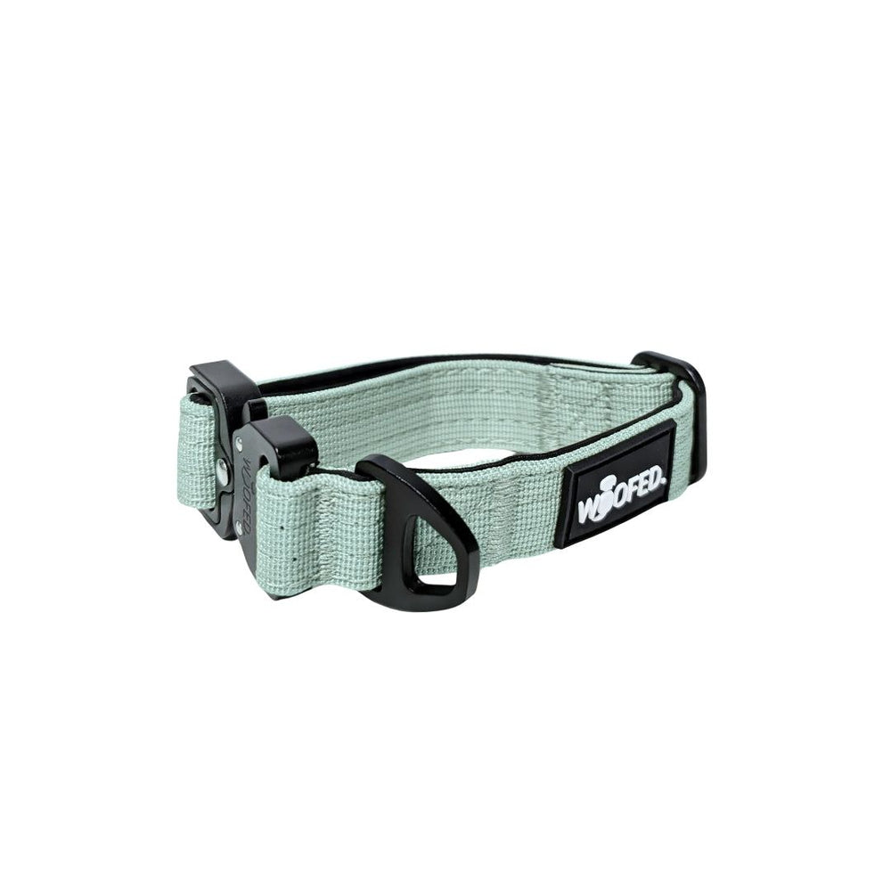 Mintgrünes Nylonhalsband für kleine Hunde mit stabiler Aluverschluss und D-Ring für Leine. Strapazierfähig und stylish.