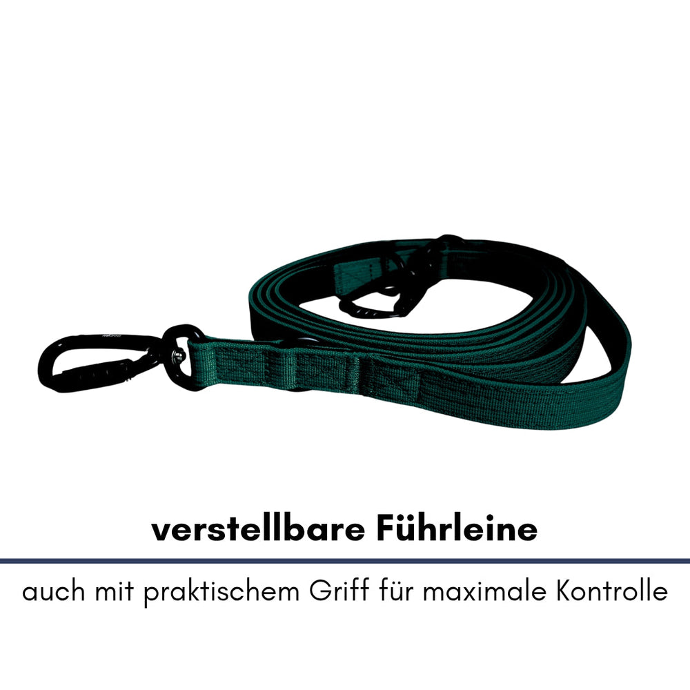 Verstellbare dunkelgrüne Führleine aus Nylon mit Sicherheitskarabiner und bequemem Griff für optimale Kontrolle.