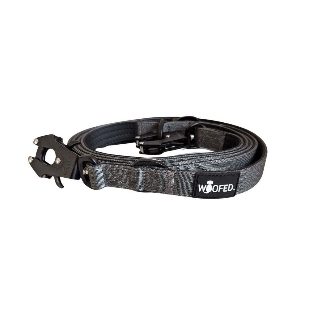 Graue Hundeleine aus strapazierfähigem Nylon mit Froschkarabiner und praktischem Griff für optimalen Halt.