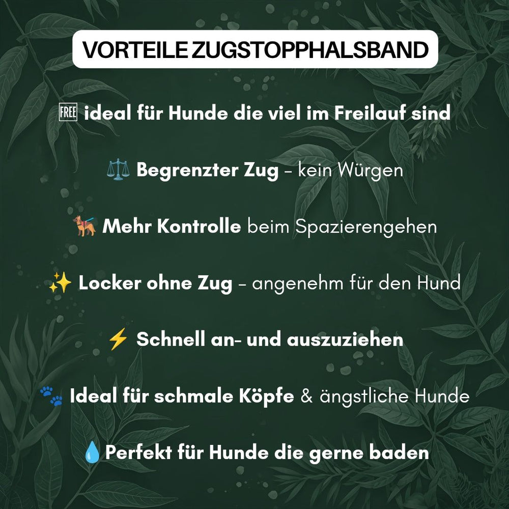 Zugstopphalsband WOOFLEX®: Vorteile für Hunde, ideal für Freiläufer, verhindert Würgen, bietet mehr Kontrolle.