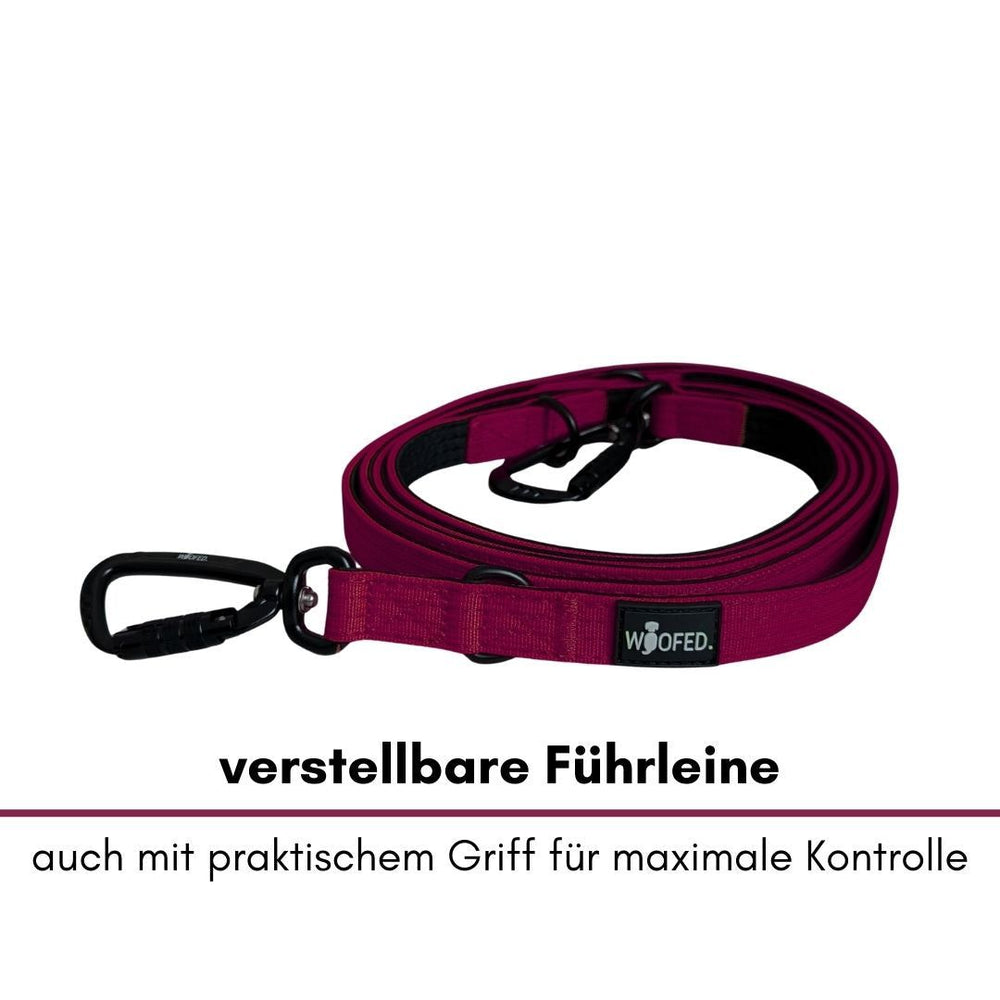 Verstellbare Hundeleine aus Nylon in Bordeaux mit Sicherheitskarabiner für maximale Kontrolle und einfachen Halt.