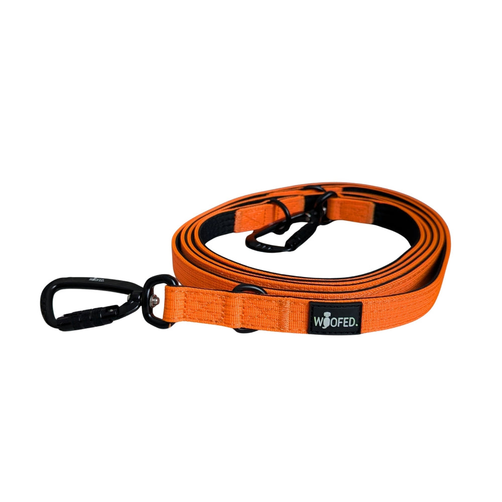 Orangefarbene Hundeleine aus Nylon mit schwarzem Karabiner, ergonomischem Griff und modernem Design für Sicherheit und Komfort.