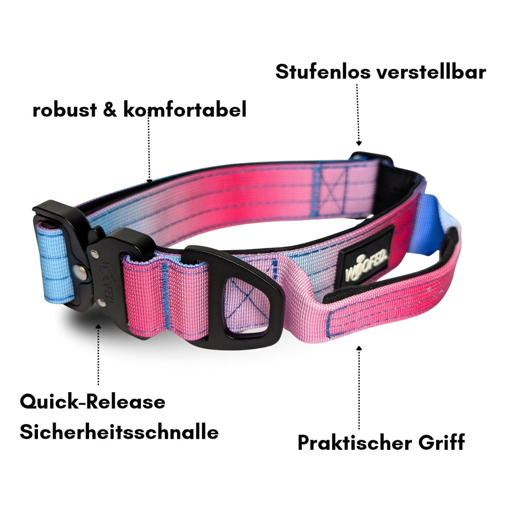 Ultraleichtes Nylon-Halsband für Hunde in Pink und Blau, stufenlos verstellbar, mit Schnellverschluss und praktischem Griff.