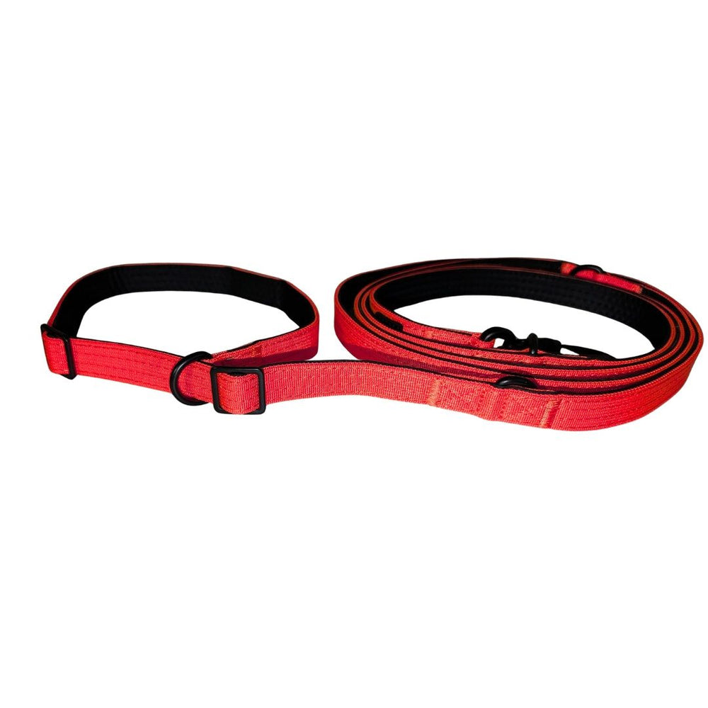 Nylon Retrieverleine von WOOFED in Rot mit verstellbarem Halsband und Sicherheitskarabiner für Hunde. Ideal für Spaziergänge
