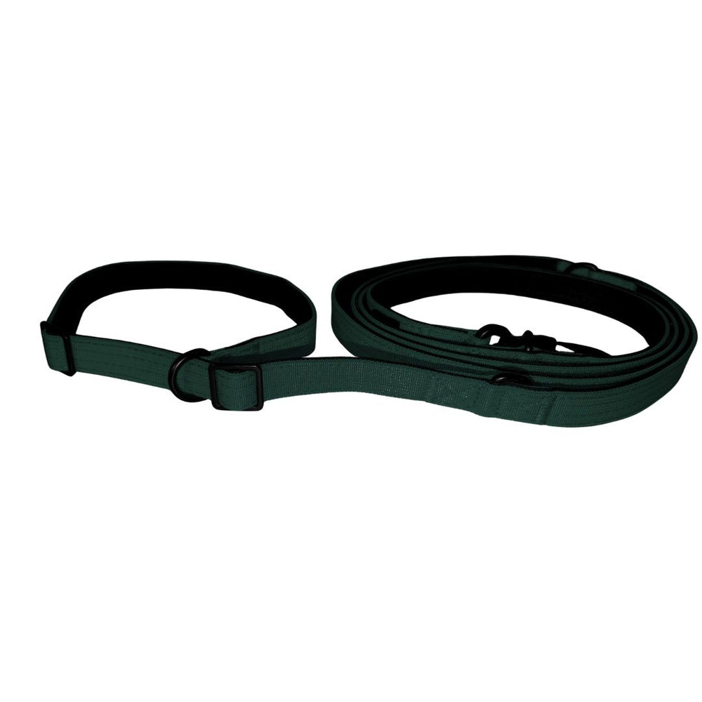 Nylon Retrieverleine von WOOFED in grün, verstellbar mit Sicherheitskarabiner, ideal für Hunde und komfortable Spaziergänge.