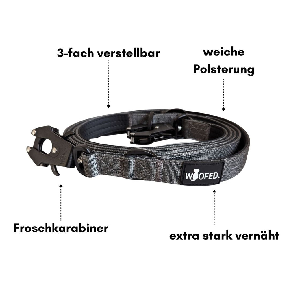 Grau Nylon Hundeleine, 3-fach verstellbar, mit Froschkarabiner und weicher Polsterung für hohen Komfort.