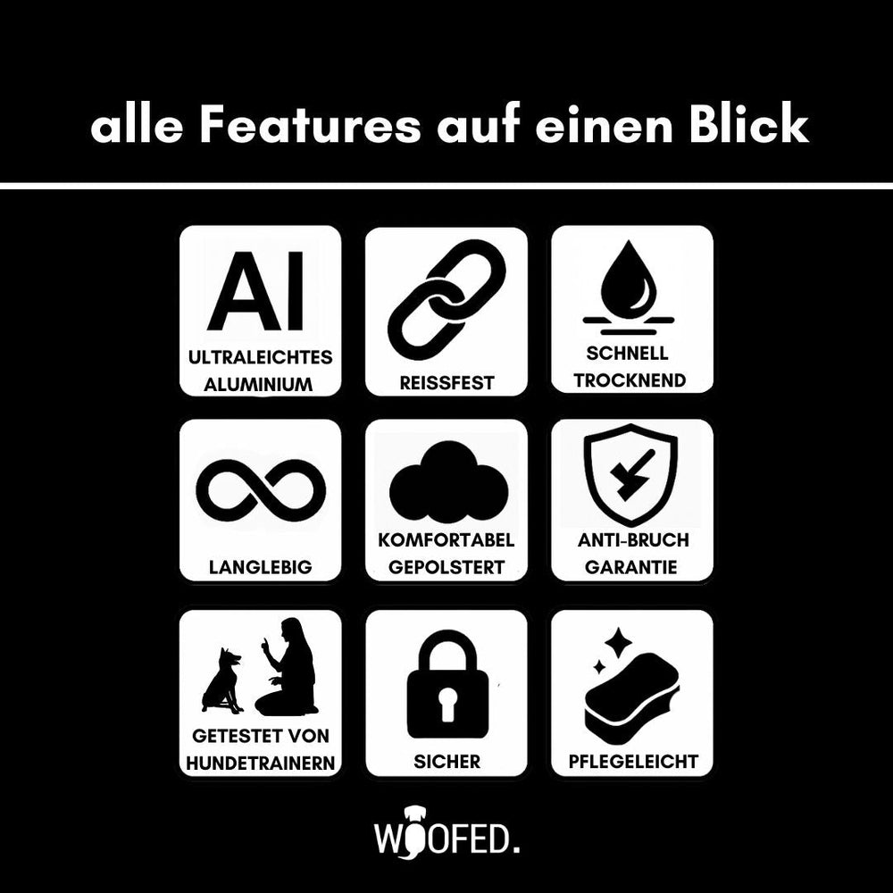 Halsband für kleine Hunde aus Nylon mit Aluminiumverschluss und symbolischen Produktmerkmalen.