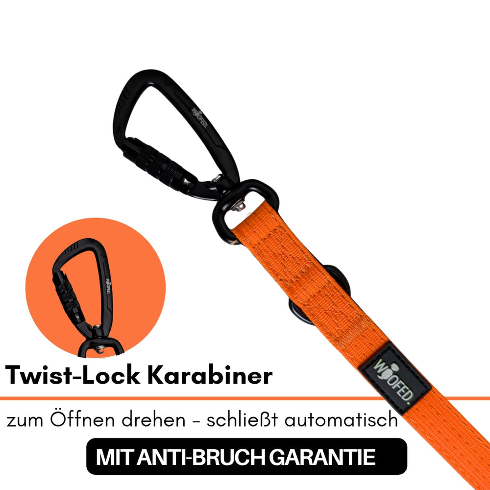 Orangefarbene Nylon-Hundeleine mit schwarzem Twist-Lock Karabiner und Anti-Bruch Garantie für hohe Sicherheit.