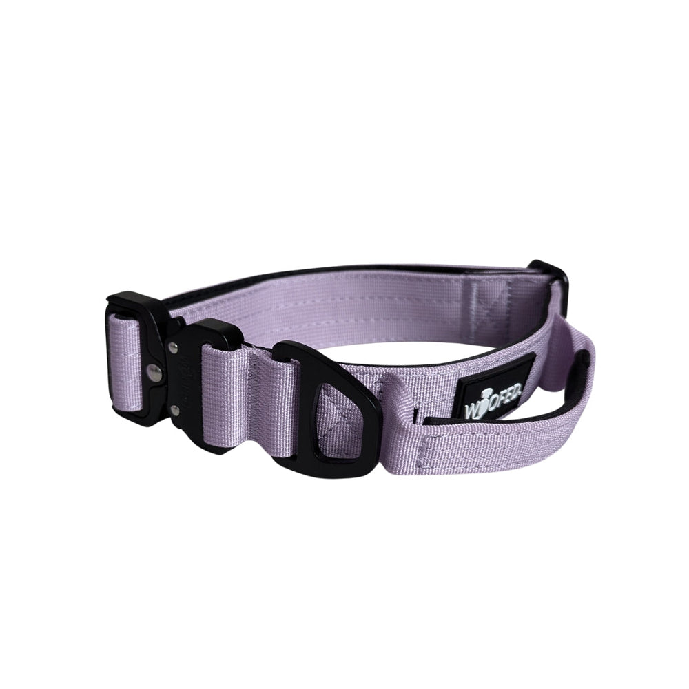 Lila Nylon Halsband für Hunde mit stabiler Schnalle und verstellbarer Länge, ideal für Spaziergänge und Training.