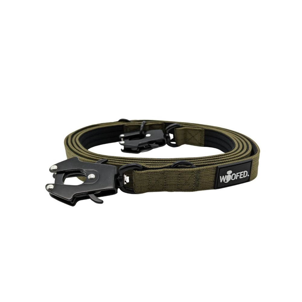Robuste olivgrüne Hundeleine mit Froschkarabiner, ideal für Outdoor-Aktivitäten und strapazierfähig.