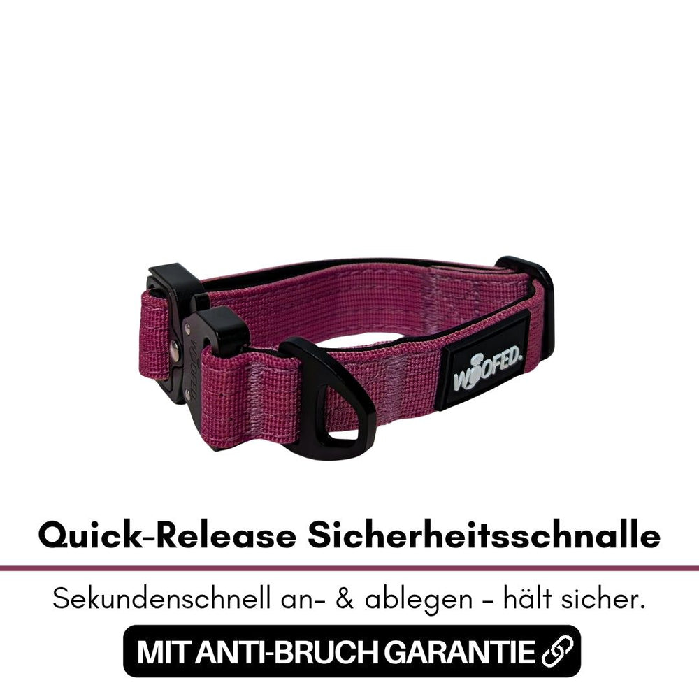 Lila Nylon-Halsband für kleine Hunde mit schwarzer Quick-Release Sicherheitschnalle für einfaches An- und Ablegen.