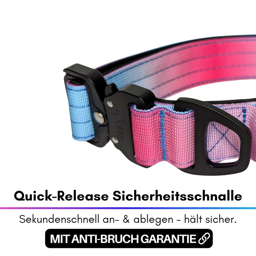 Ultraleichtes Nylon Halsband mit bunter Quick-Release Schnalle für einfaches An- und Ablegen.