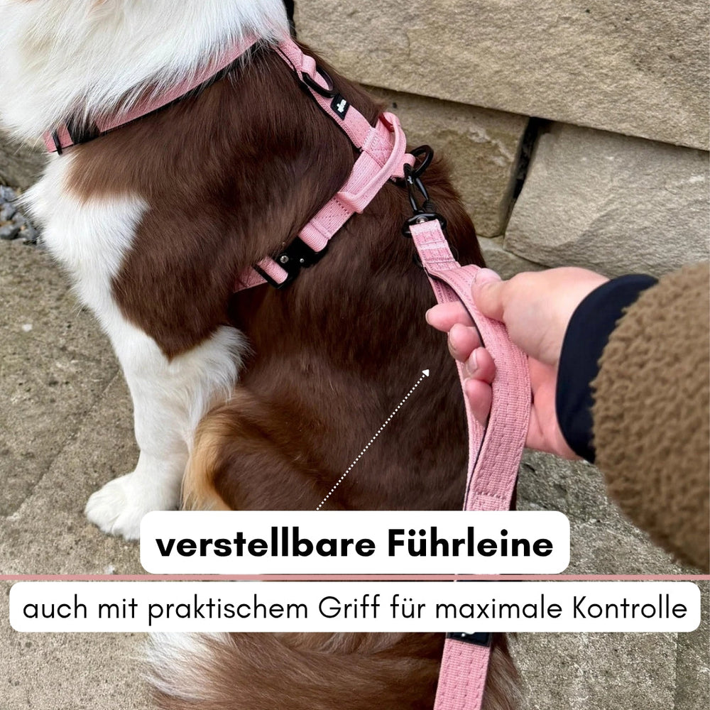 Hund im pinkfarbenen Geschirr sitzt brav neben einer Person mit einer pinken Führleine und Sicherheitskarabiner.