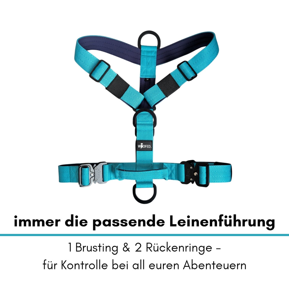 Aqua Y-Hundegeschirr mit gepolstertem Brustbereich und zwei D-Ringen für optimalen Sitz und Kontrolle beim Spazierengehen.