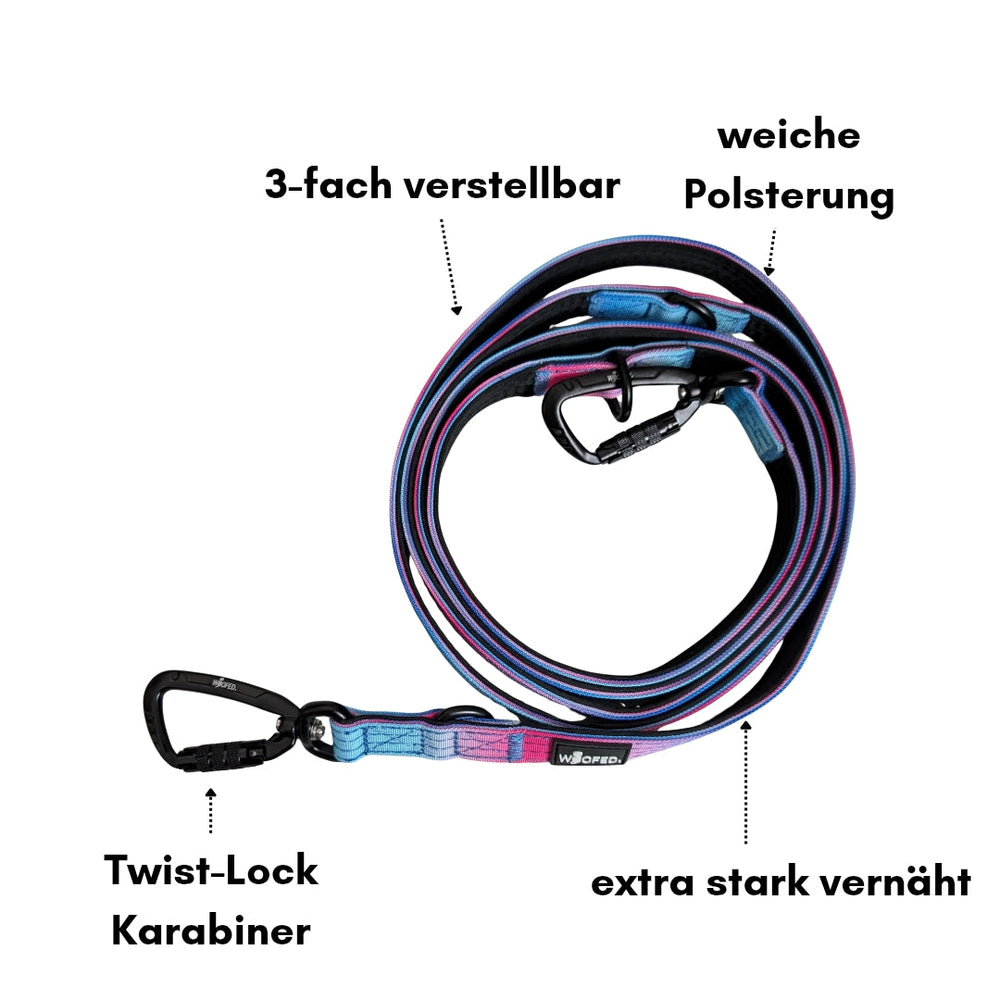 Mehrfarbige, 3-fach verstellbare Hundeleine aus Nylon mit weichen Polsterungen und zwei Twist-Lock Karabinern für Sicherheit.