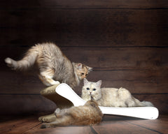 weiß mit Rand (000) - Bild 1