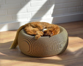 - Bild 1