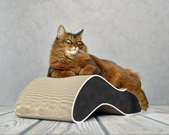 schwarz, weißer Rand (000g) - Bild 1