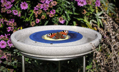 "Schmetterling auf einer bunten Vogeltränke mit lila blühenden Pflanzen im Hintergrund."