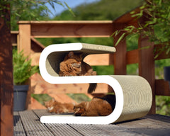 weiß, gestrichen (000x) - Bild 2