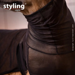 Hund im eleganten, engen schwarzen Styling-Cape mit glänzendem Stoff, Fokus auf Hals- und Schulterbereich.