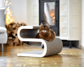 weiß, gestrichen (000x) - Bild 1