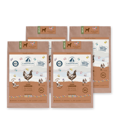 Trockenfutter-Menü Huhn für Welpen