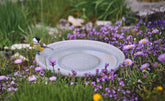 Kleiner Vogel auf der runden Granicium Vogeltränke, umgeben von bunten Blumen in einer grünen Umgebung.