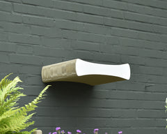 weiß, gestrichen (000x) - Bild 2