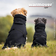 Zwei Hunde im Warmover®-Cape sitzen im Gras und beobachten die Landschaft. Elegant und warm eingekleidet.