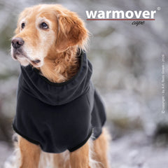 Golden Retriever im Winter: Hund trägt schwarzen Kapuzenpullover, steht in verschneiter Landschaft zwischen unscharfen Bäumen.