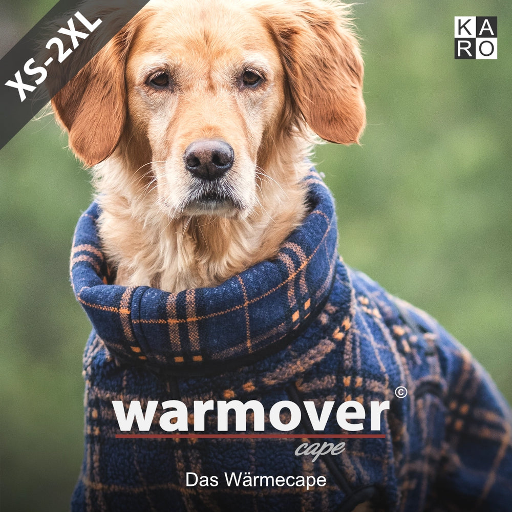 Hund im karierten warmover© Cape karo mit hohem Kragen, ideal für kühle Tage. Größen XS-2XL verfügbar.