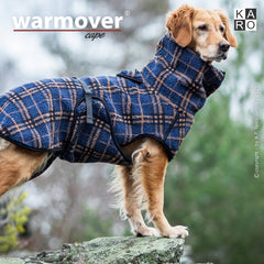 Hund trägt warmover© cape karo, kariert in Blau und Braun, auf einem Felsen stehend.