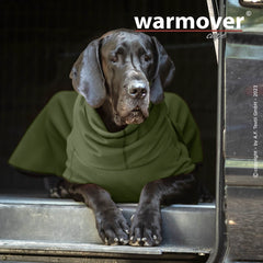 Großer schwarzer Hund trägt warmover© cape big im Fahrzeug, schaut ruhig in die Kamera, dunkler Hintergrund.