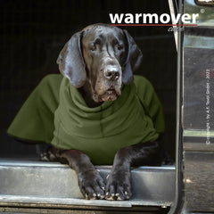 Großer schwarzer Hund trägt warmover© cape big im Fahrzeug, schaut ruhig in die Kamera, dunkler Hintergrund.