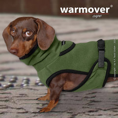 Dachshund im grünen warmover© Cape mit hohem Kragen und schwarzem Rand auf gepflastertem Boden.